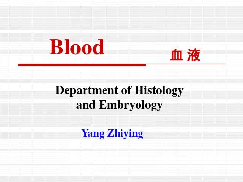 组织学与胚胎学课件：第04章 血液