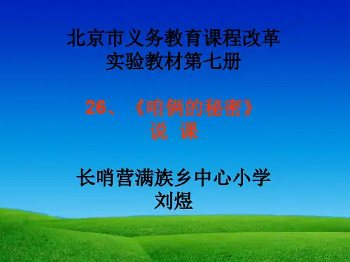 咱俩的秘密说课
