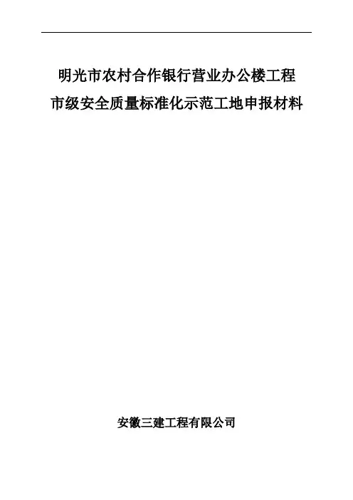 市级安全质量标准化示范工地申报材料