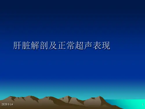 肝脏解剖及正常超声表现