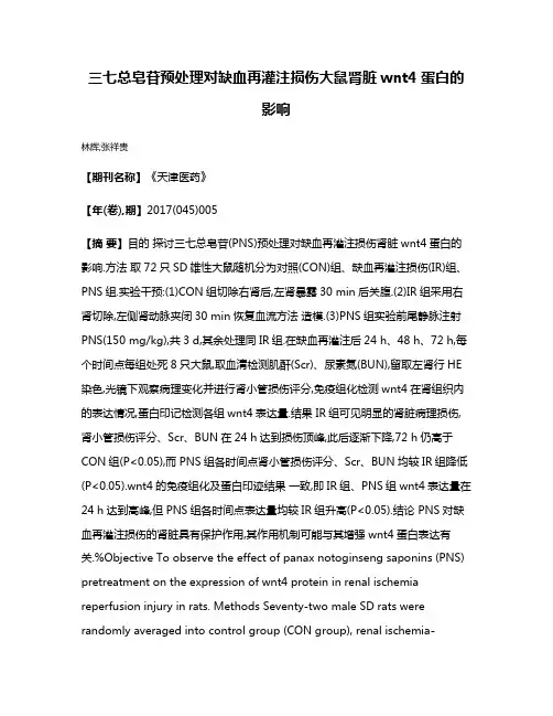 三七总皂苷预处理对缺血再灌注损伤大鼠肾脏wnt4蛋白的影响