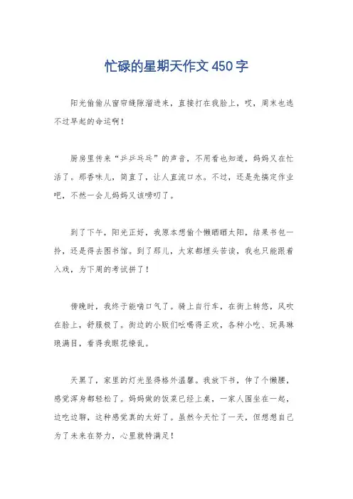 忙碌的星期天作文450字