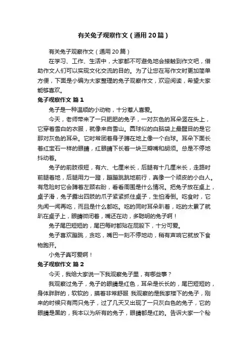 有关兔子观察作文（通用20篇）