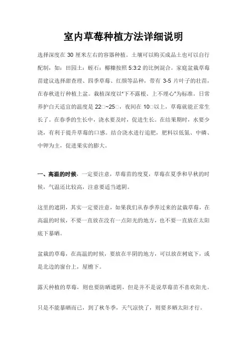 室内草莓种植方法详细说明
