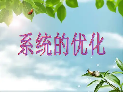 系统的优化
