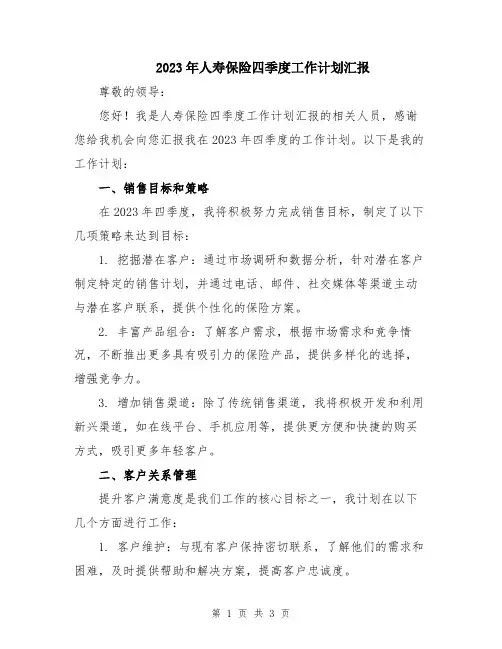 2023年人寿保险四季度工作计划汇报