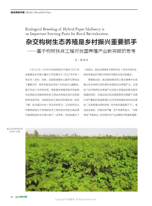 杂交构树生态养殖是乡村振兴重要抓手——基于构树扶贫工程对我国养殖产业新突破的思考