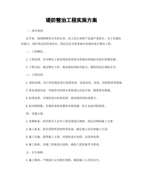 堤防整治工程实施方案