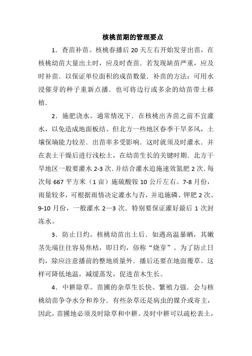 核桃苗期的管理要点