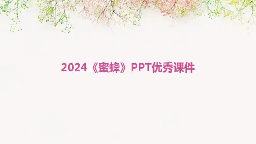 2024《蜜蜂》PPT优秀课件