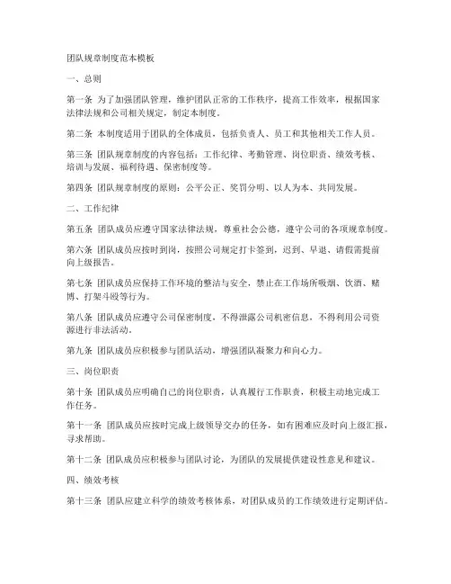 团队规章制度范本模板