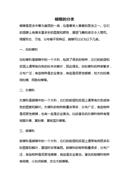 蝴蝶的分类