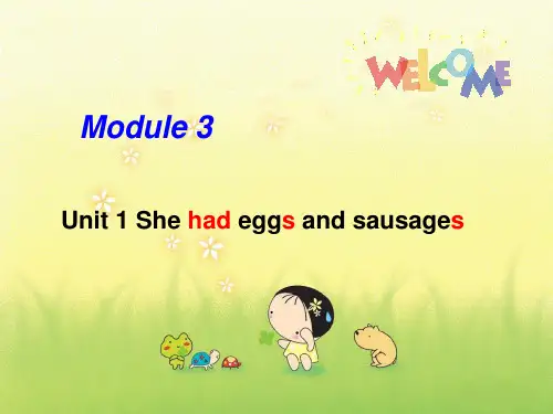 She-had-eggs-and-sausages--ppt课件