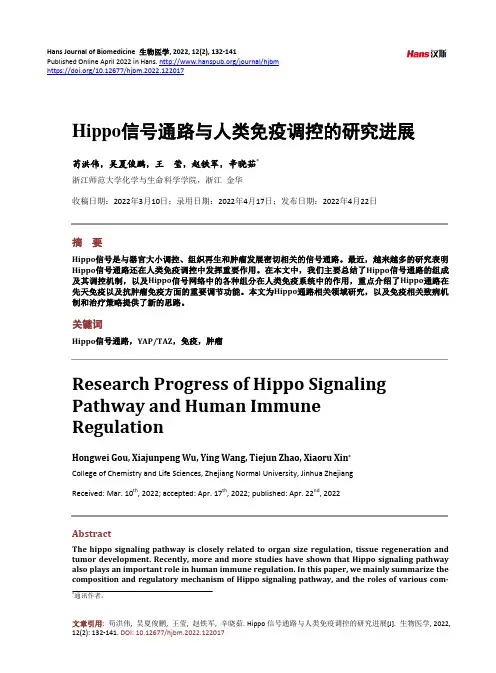Hippo信号通路与人类免疫调控的研究进展
