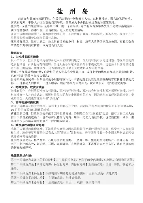 盐州岛攻略