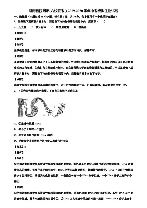 河南省濮阳市(六校联考)2019-2020学年中考模拟生物试题含解析
