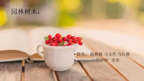 园林树木介绍总览