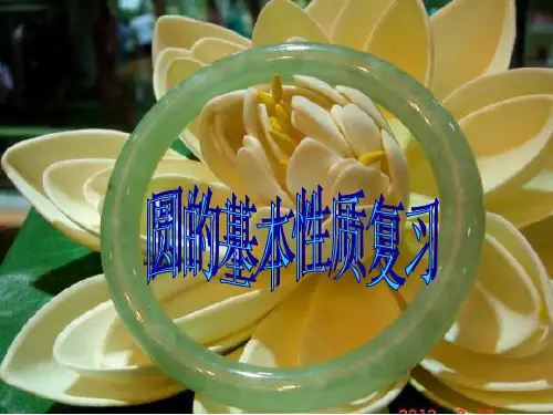 圆的基本性质复习课精品PPT课件