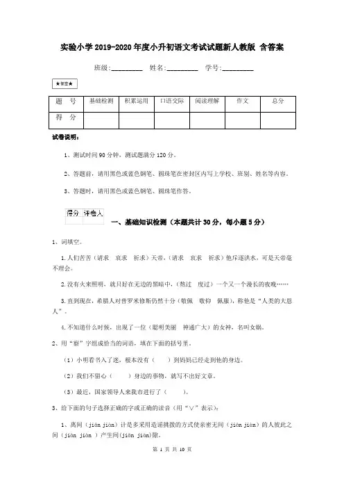 实验小学2019-2020年度小升初语文考试试题新人教版 含答案