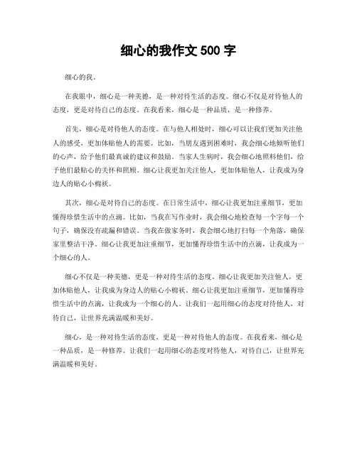 细心的我作文500字