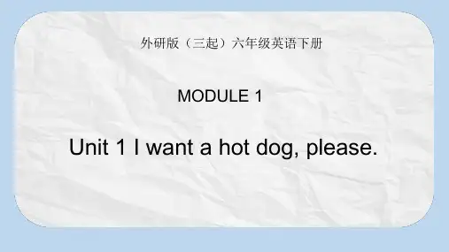 最新外研版(三起)小学六年级英语下册1Unit 1 I want a hot dog,please精品ppt课件. (2)