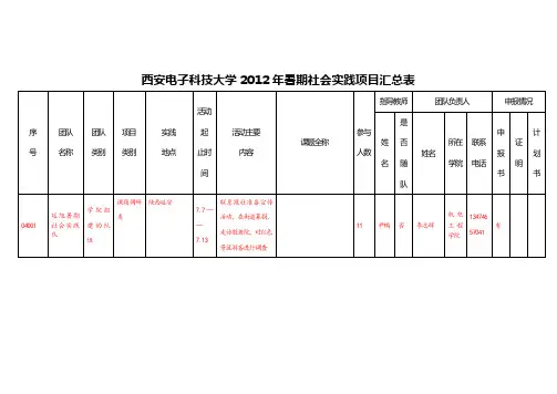 2012暑期社会实践项目汇总表