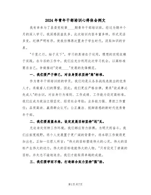 2024年青年干部培训心得体会例文（四篇）