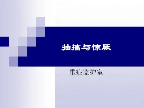 《抽搐与惊厥》PPT课件