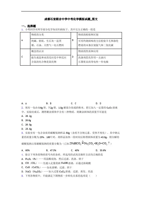 成都石室联合中学中考化学模拟试题_图文