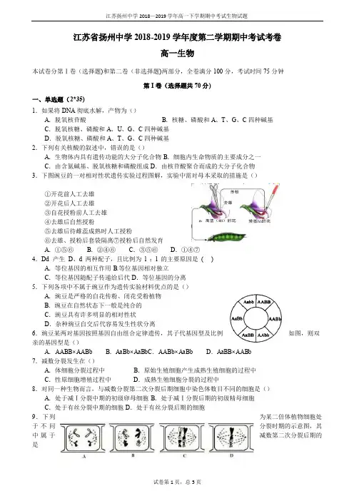 2018-2019学年江苏省扬州中学高一下学期期中考试生物(含答案)