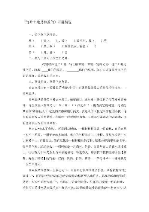 这片土地是神圣的练习题1