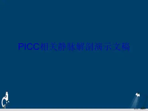 PICC相关静脉解剖演示文稿