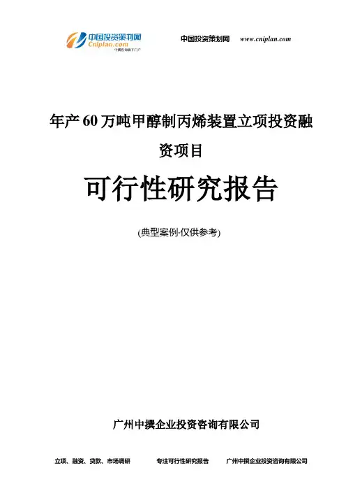 年产60万吨甲醇制丙烯装置融资投资立项项目可行性研究报告(中撰咨询)