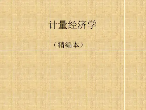 计量经济学课件汇总全套ppt完整版课件最全教学教程整套课件全书电子教案教学课件汇总完整版电子教案