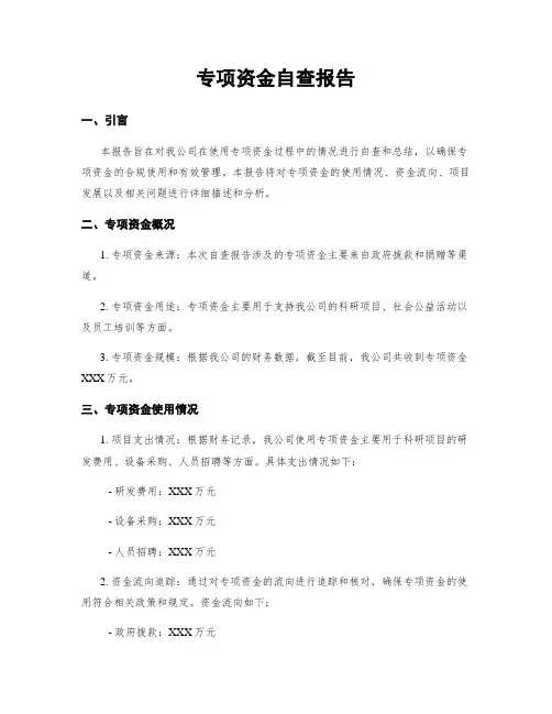 专项资金自查报告