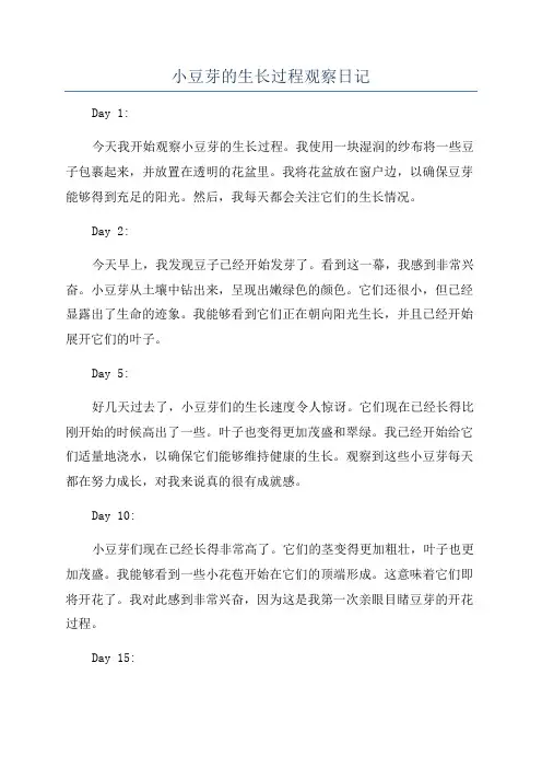 小豆芽的生长过程观察日记