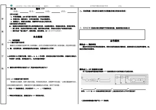 高三生物一轮复习导学案：酶与ATP