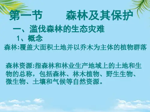 【优文档】选修：森林及其保护(新人教版)PPT