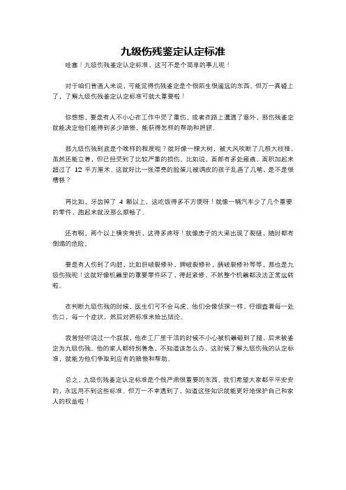 九级伤残鉴定认定标准