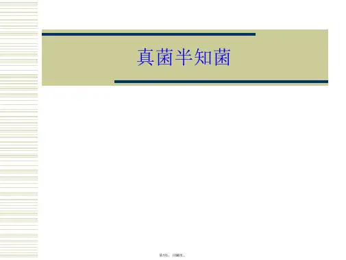 真菌半知菌