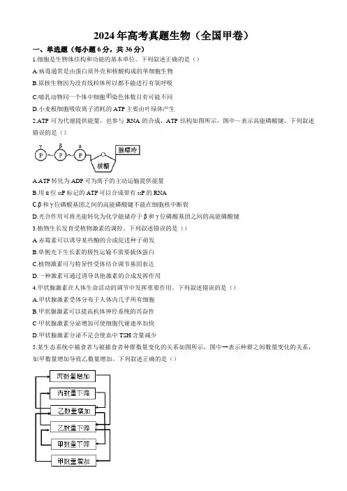 2024年高考真题 生物(全国甲卷)含参考答案