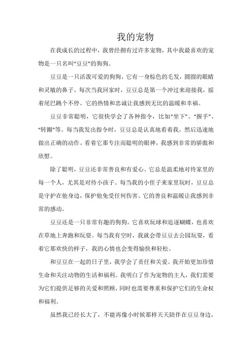 我的宠物700字