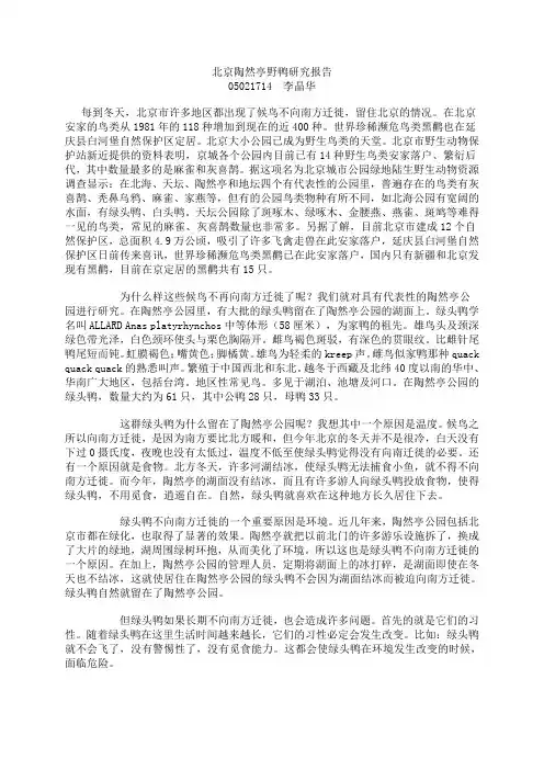鸟类观察 5单元作业北京陶然亭野鸭观察报告