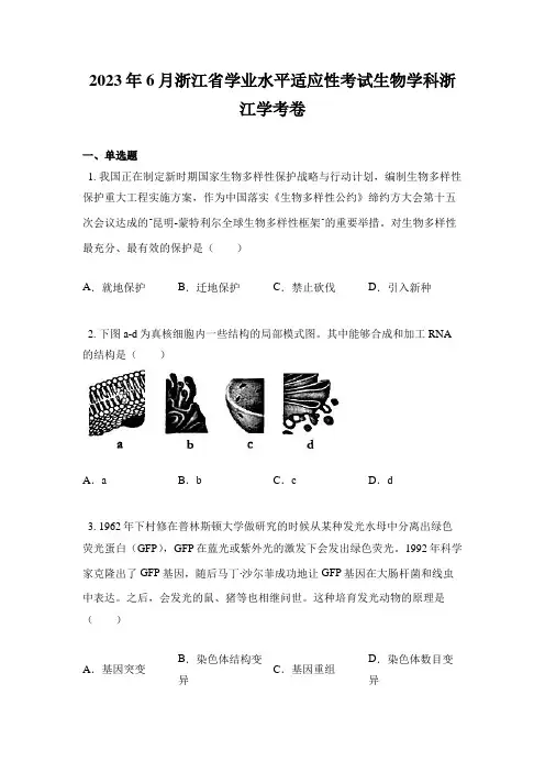2023年6月浙江省学业水平适应性考试生物学科浙江学考卷