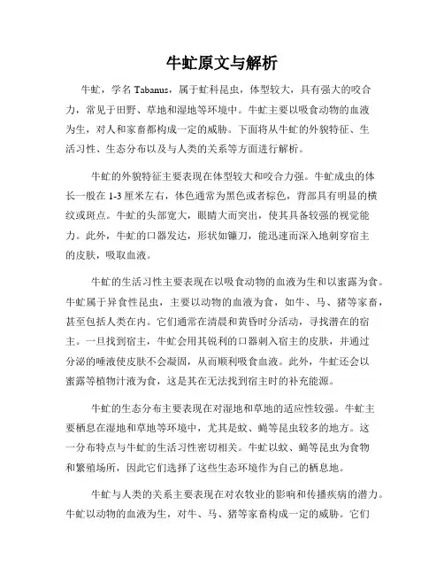 牛虻原文与解析