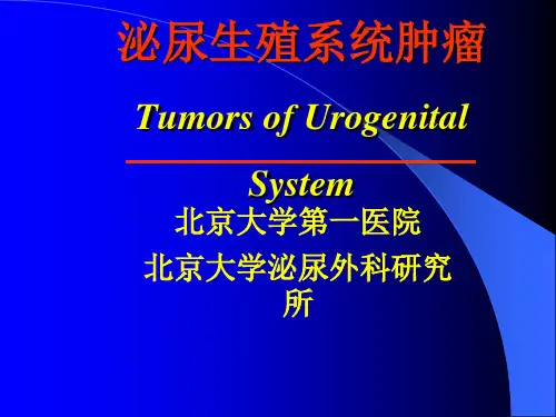泌尿生殖系统肿瘤