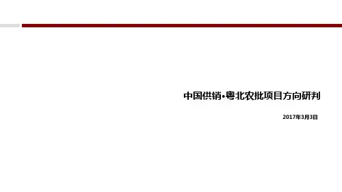 某农批项目方向研判培训教材PPT课件