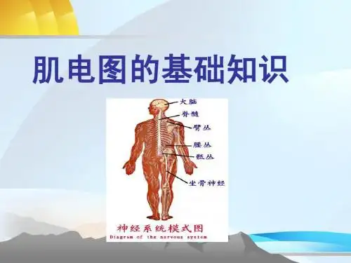 肌电图学