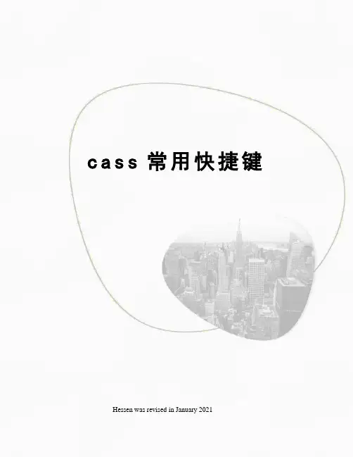cass常用快捷键