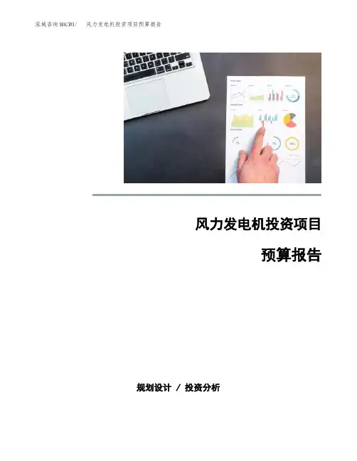 风力发电机投资项目预算报告
